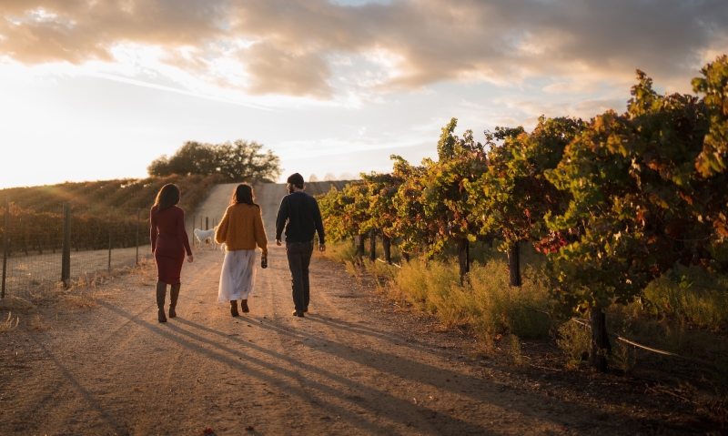 High Camp Owners walking through the vineyard at sunset.