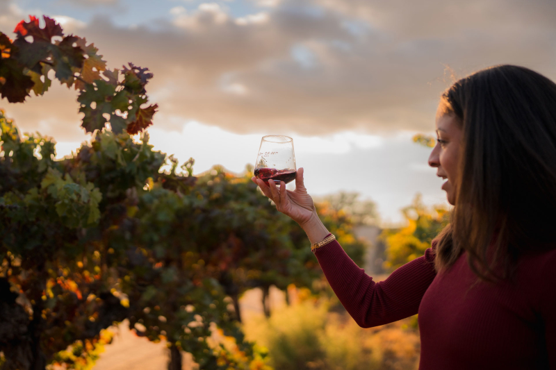Women holding glass of red wine up to the light in a vineyard.