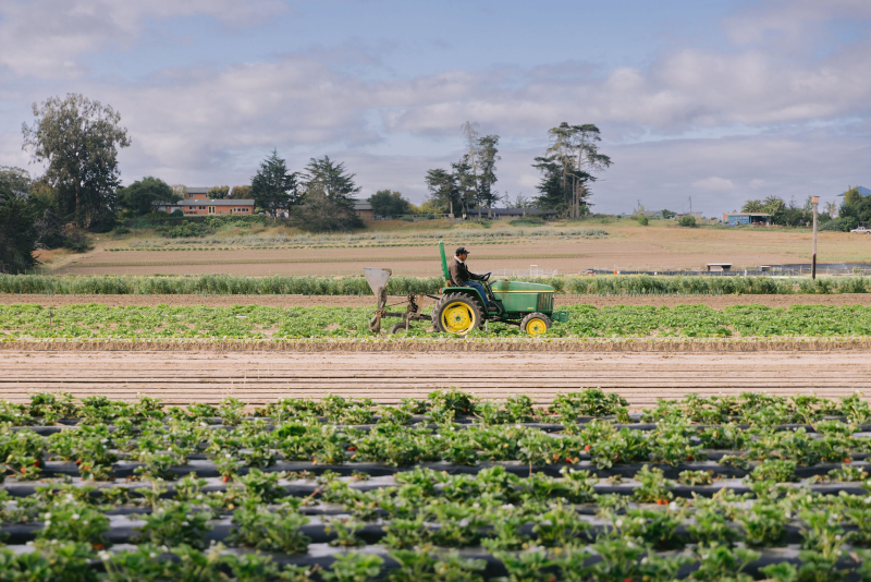 Arroyo Grande - Halcyon Farms