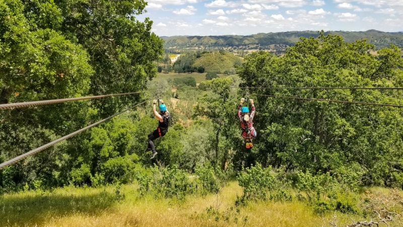 couple zip-lining over trees