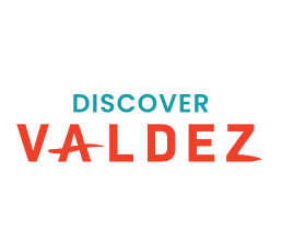 Discover Valdez text logo