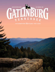 Visitor Guide