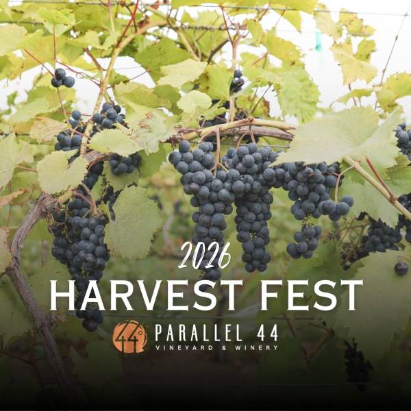 Harvest Fest at Parallel 44