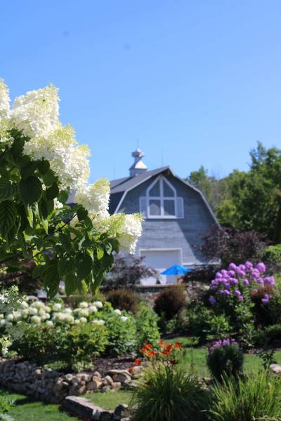 Music in the Garden