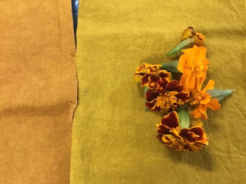Events Natural Dyes: Marigold and Indigo