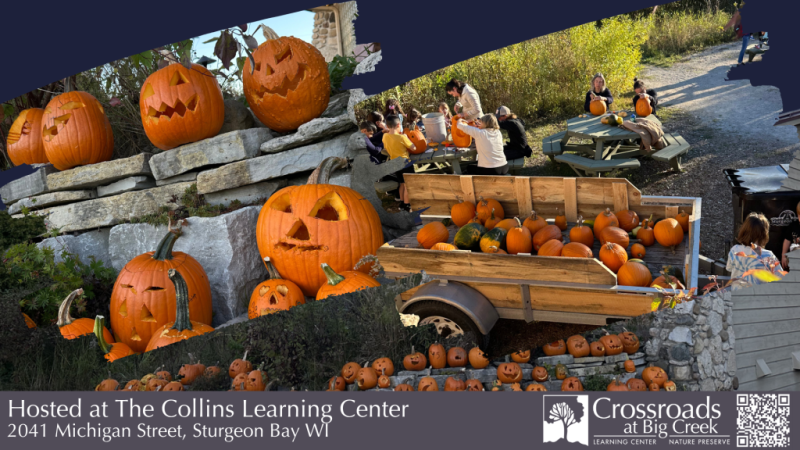 Events Pumpkin Carving Night