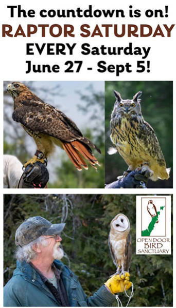Events Raptor Saturday