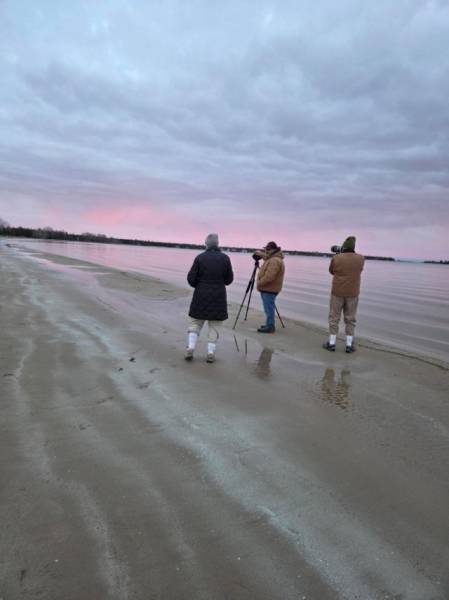 Things to do this Weekend When Colors Hit: Fall Photography in Door County