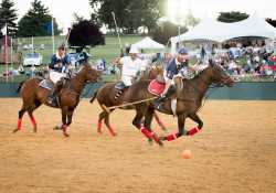 Polo in the Park