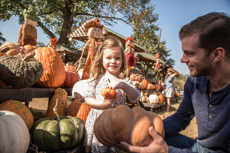 Thanksgiving Activities In Sandy Springs