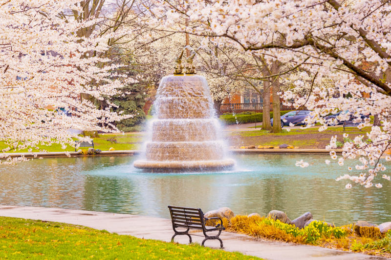 What Would Elle Do?: A Legally Blonde-Inspired Itinerary in Columbus