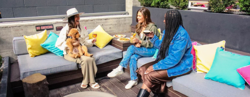 Cherry Creek North Is Home to Denver's Best Dog-Friendly Hotels