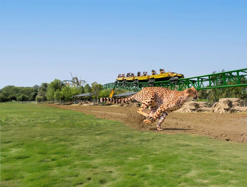 Go and You’ll Know