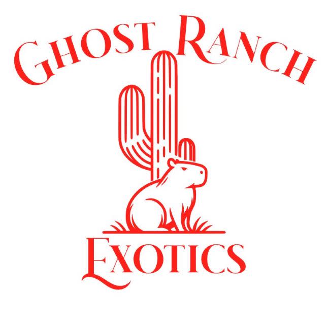 Ghost Ranch Exotics Activities