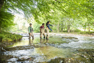 three people stand ankle deep in a river with fishing poles surrounded by greenery.