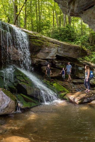 Otter Falls Family Hike