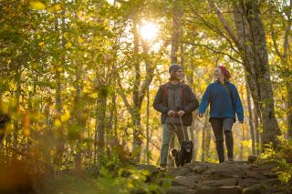 A couple with their dog on a leash walks through the woods with the sun peeking through the trees at their backs.