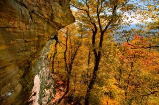 Rock Climbing