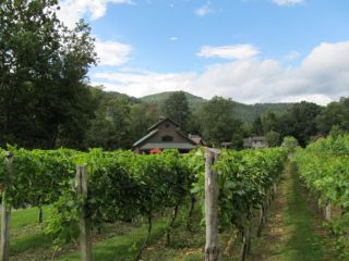 Grandfather Vineyards | Boone, NC