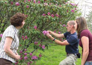 Naturalist Gabe Taylor and participants study the single flower of a Catawba rhododendron cluster