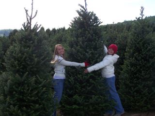 Real Christmas Trees Inspire Hugs | Boone, NC