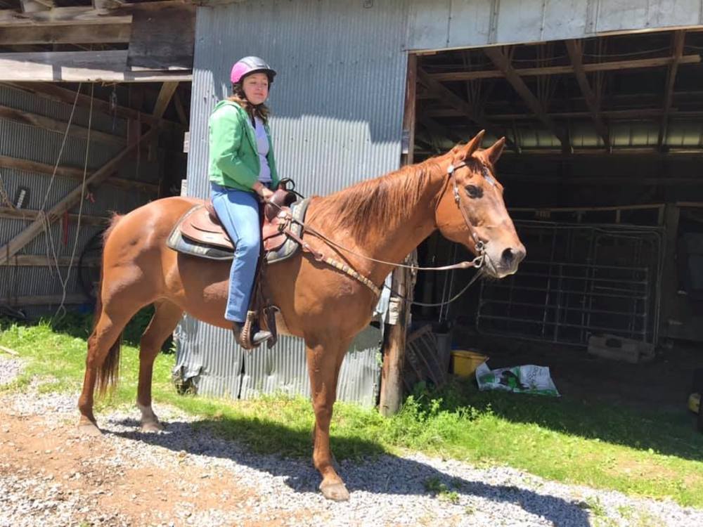 Horse anf girl