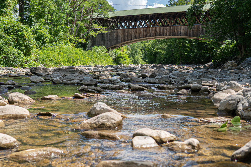 Lily Park Visit Schoharie County