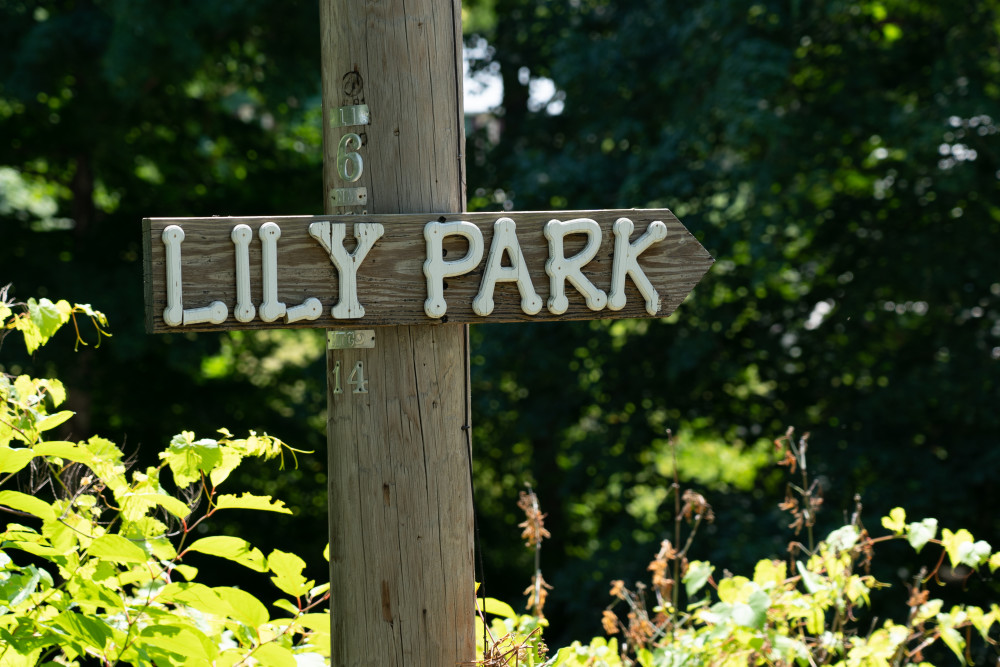 Lily Park Sign