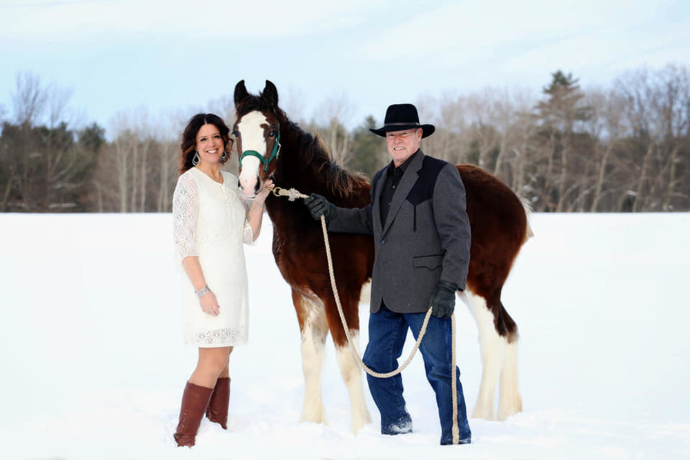 Horse Owners