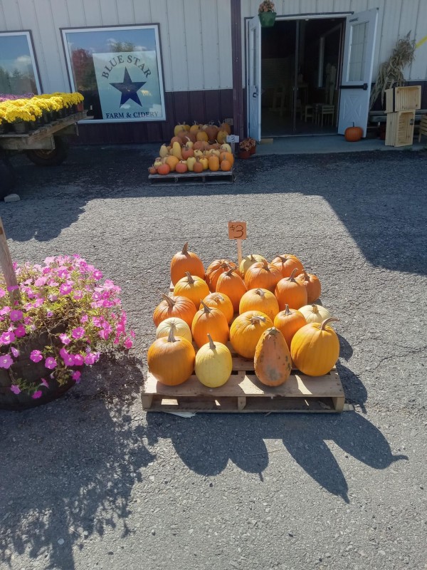 Pumpkins