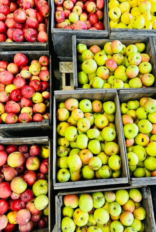 Apples