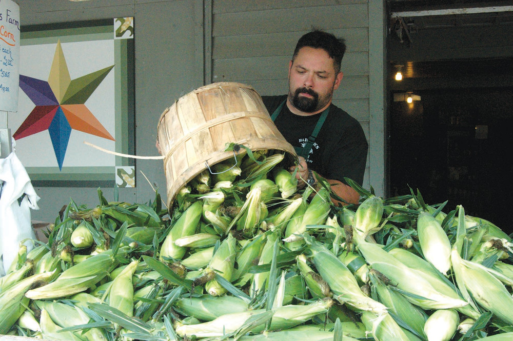 Dumping Corn.