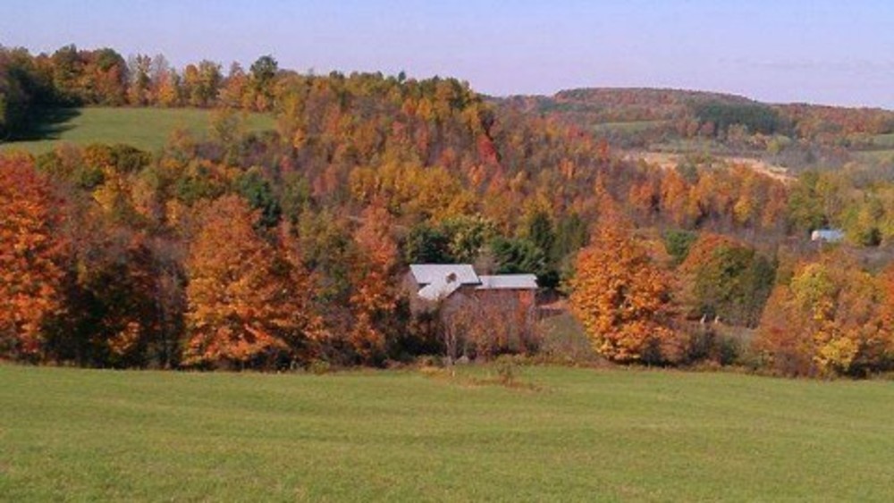Longhollow Farm Airbnb Rental Visit Schoharie County