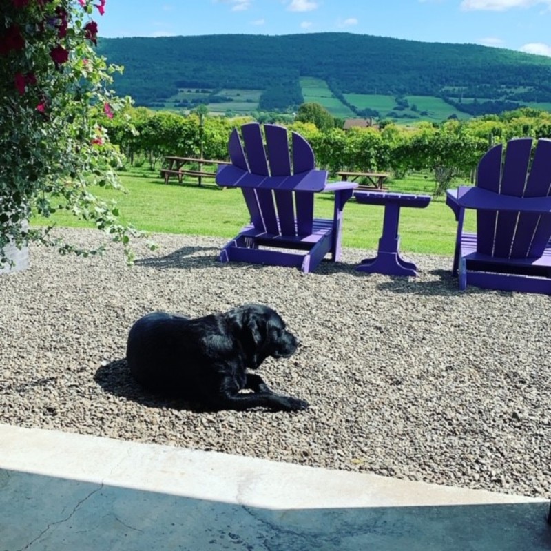 Middleburgh Winery Visit Schoharie County