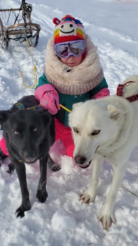 Run By Dogs