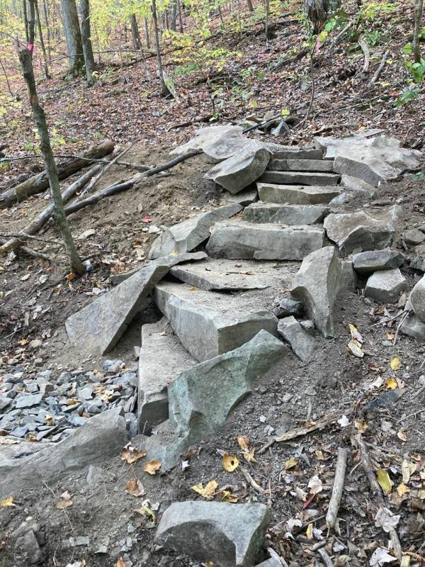 Steps