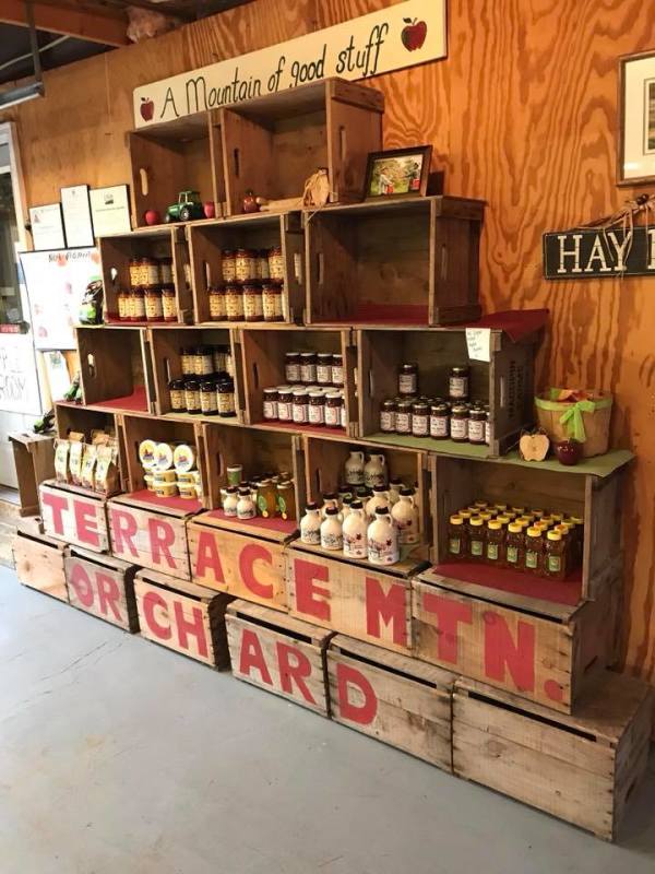 Terrace Mountain Orchard