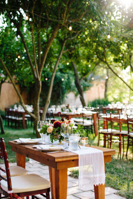 Dinner In The Olive Grove