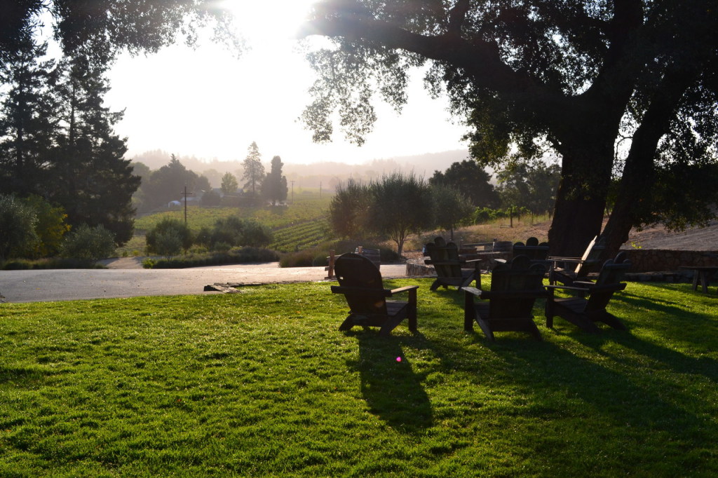 The lawn at Bella Vineyards and Wine Caves