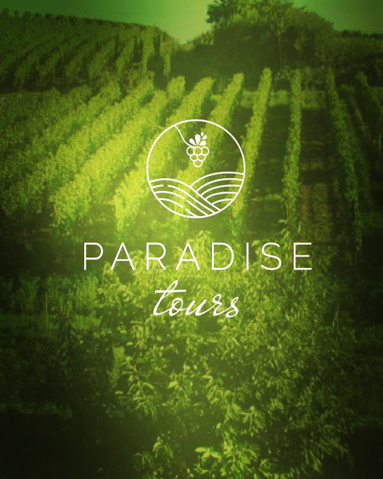 Paradise Tours (2)