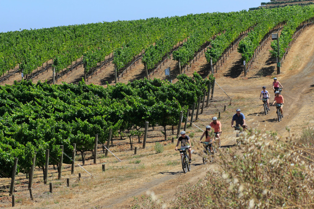 Sonoma Valley Bike Tours, Cycling IN the Vineyards Tour