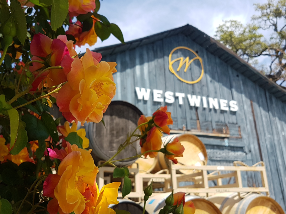 Springtime at West Wines