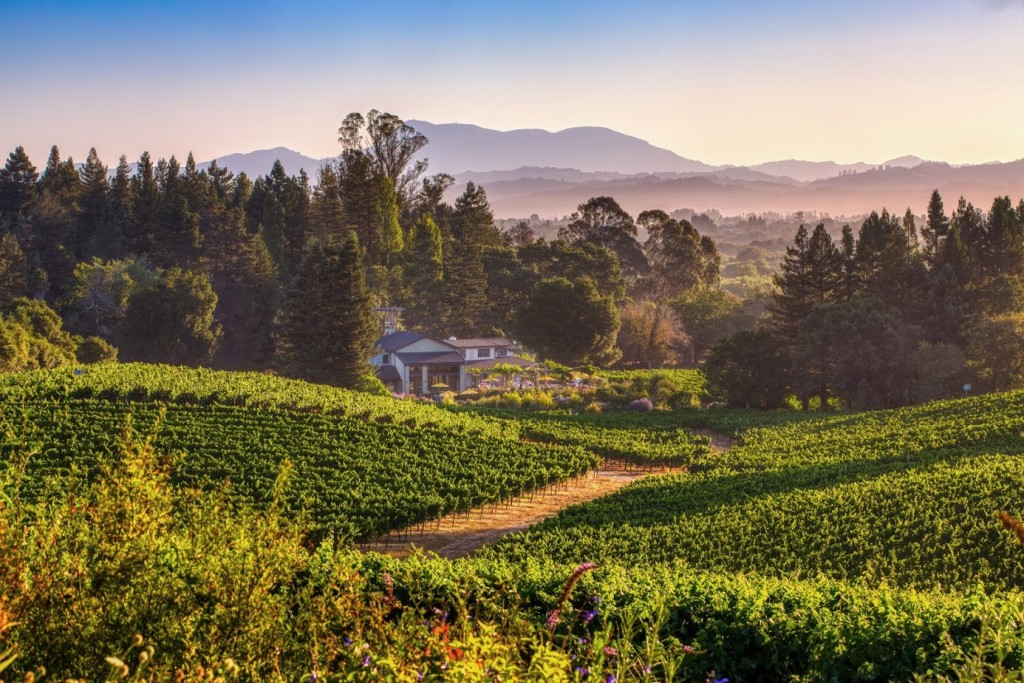 Lynmar Estate Overlooking Quail Hill Vineyard