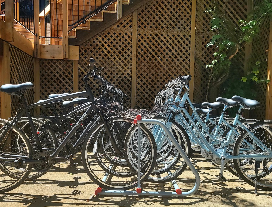 Bicycles for our guests - Go Explore!