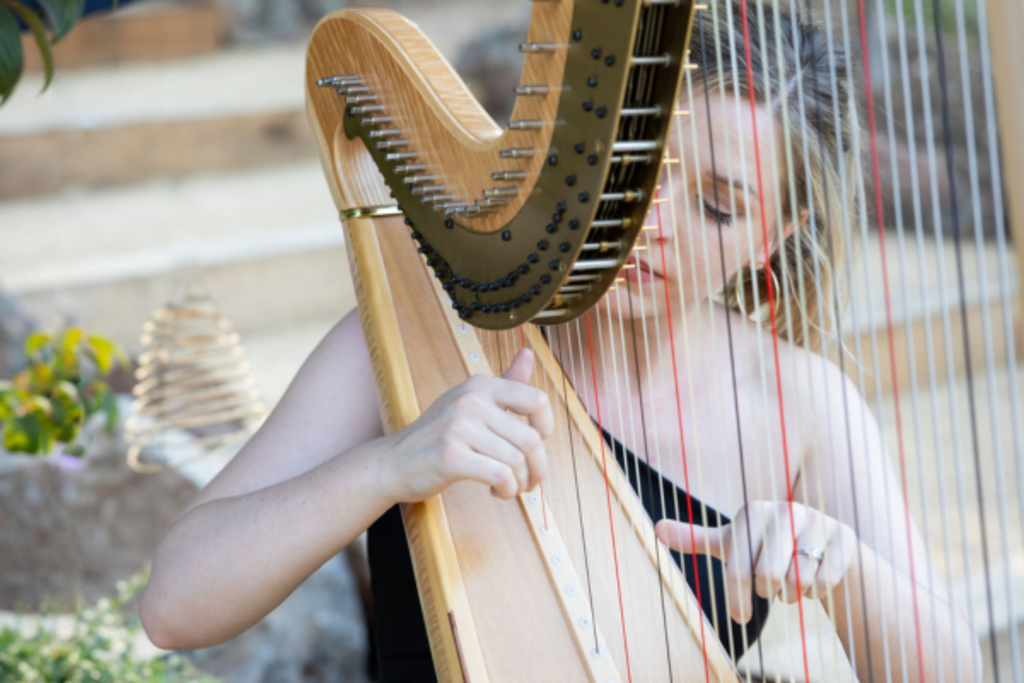 Celebrations - Harpist