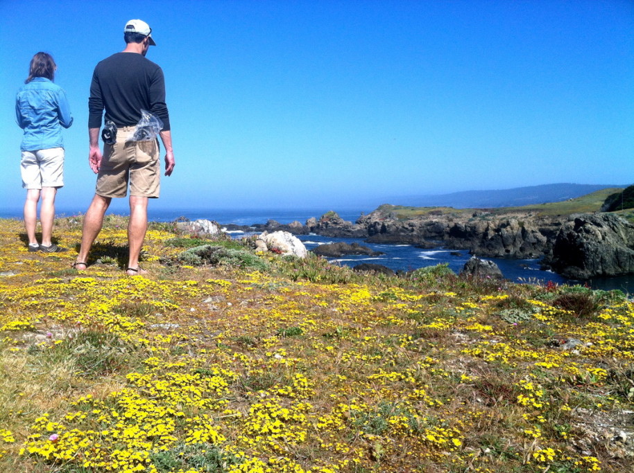 hiking, Walking, Nature, Wildflower, Geology, Historical, Architectural Tours