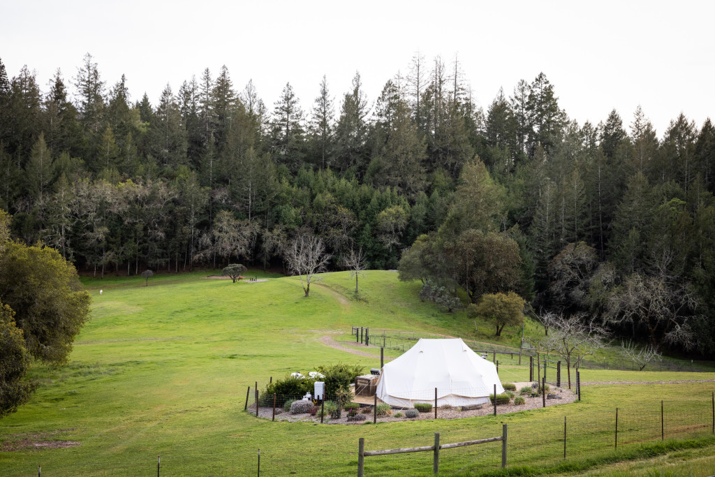 Glamping Tent