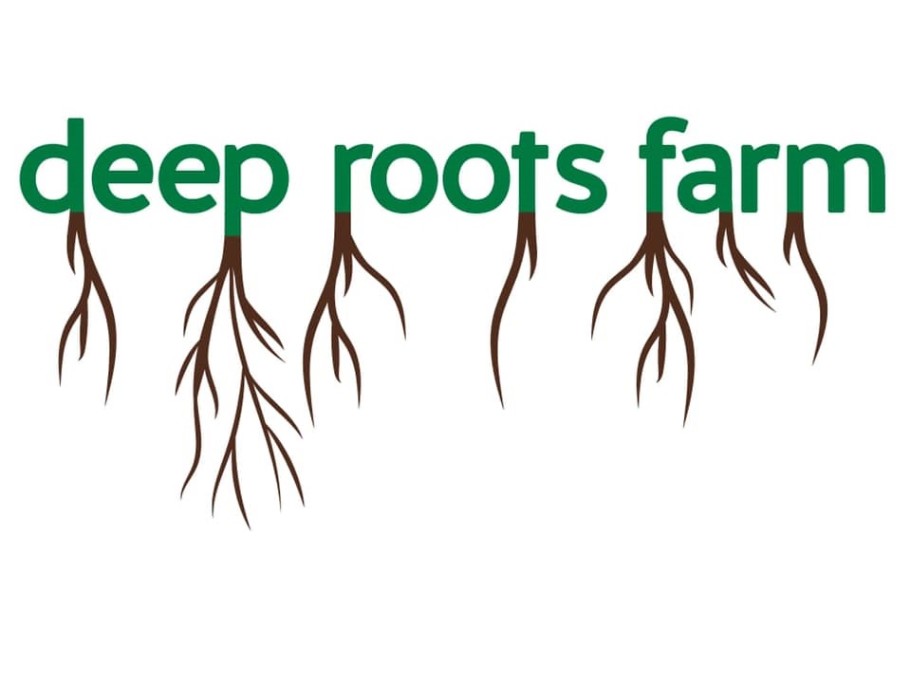 Deep Roots Farm Logo