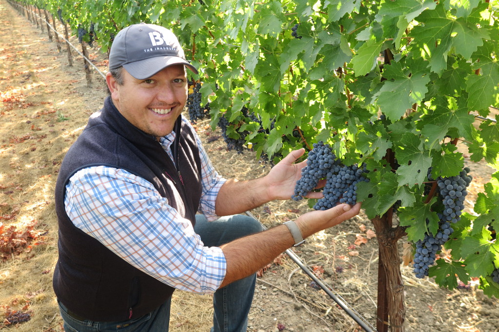 Tony in the vineyard