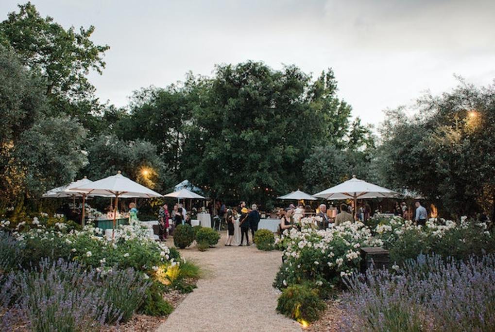 Cocktail hour in the gardens